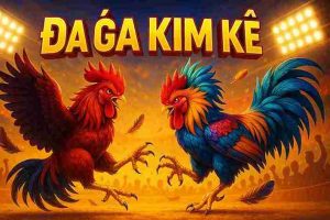 Đá Gà Kim Kê VAOBET - Đỉnh Cao Giải Trí Cá Cược